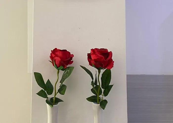 Center - Lovely And Spacious 2bdrm * Split