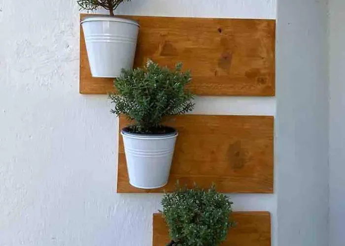 Center - Lovely And Spacious 2bdrm * Split